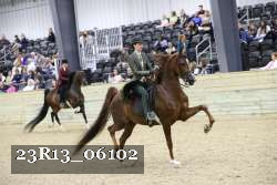 23R13_06102 thumbnail