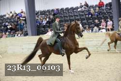 23R13_06103 thumbnail