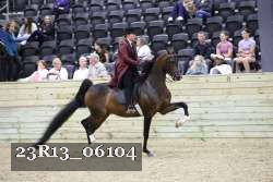 23R13_06104 thumbnail