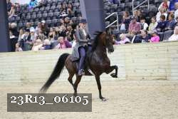 23R13_06105 thumbnail