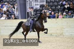 23R13_06106 thumbnail