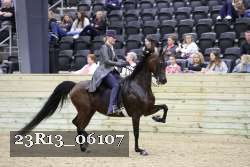 23R13_06107 thumbnail