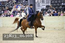 23R13_06108 thumbnail