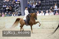 23R13_06109 thumbnail
