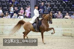 23R13_06110 thumbnail
