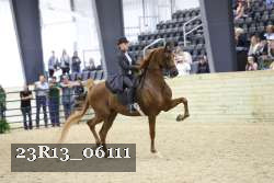 23R13_06111 thumbnail