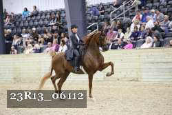 23R13_06112 thumbnail