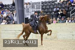 23R13_06113 thumbnail