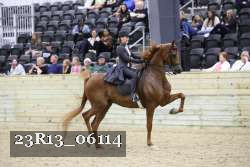 23R13_06114 thumbnail
