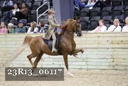 23R13_06117 thumbnail