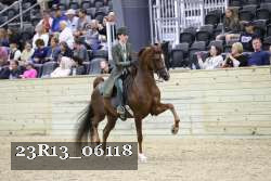23R13_06118 thumbnail