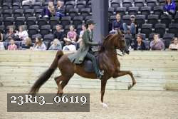 23R13_06119 thumbnail