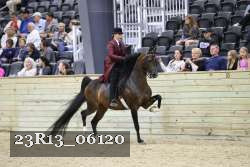 23R13_06120 thumbnail