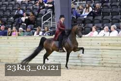 23R13_06121 thumbnail
