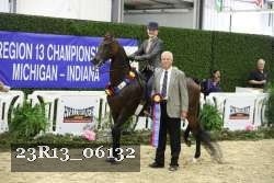 23R13_06132 thumbnail