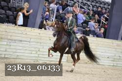 23R13_06133 thumbnail