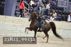 23R13_06134 thumbnail
