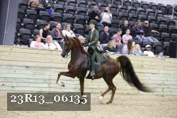 23R13_06135 thumbnail