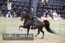 23R13_06136 thumbnail