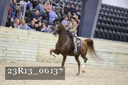 23R13_06137 thumbnail