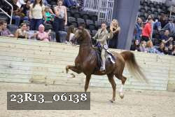 23R13_06138 thumbnail