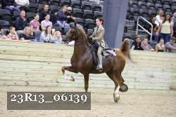 23R13_06139 thumbnail