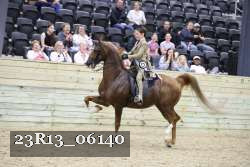 23R13_06140 thumbnail