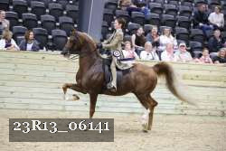23R13_06141 thumbnail