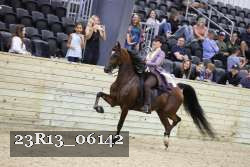 23R13_06142 thumbnail