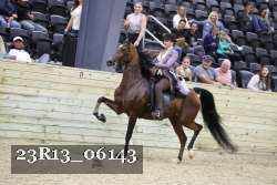 23R13_06143 thumbnail