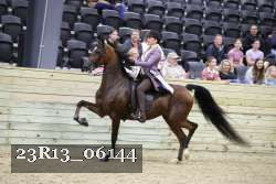 23R13_06144 thumbnail