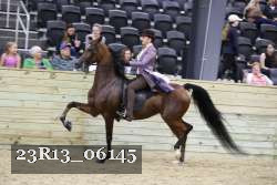 23R13_06145 thumbnail