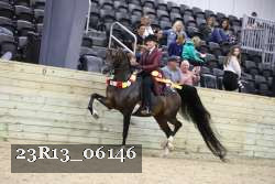 23R13_06146 thumbnail