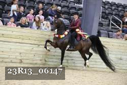 23R13_06147 thumbnail
