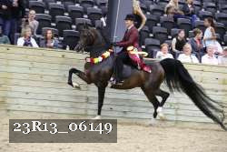 23R13_06149 thumbnail