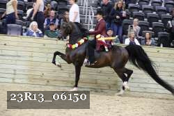 23R13_06150 thumbnail