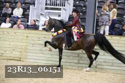23R13_06151 thumbnail
