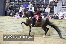 23R13_06152 thumbnail