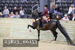 23R13_06153 thumbnail