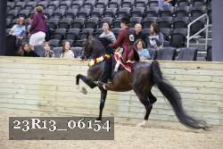 23R13_06154 thumbnail