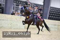 23R13_06156 thumbnail