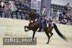 23R13_06157 thumbnail