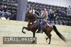23R13_06158 thumbnail
