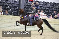 23R13_06160 thumbnail