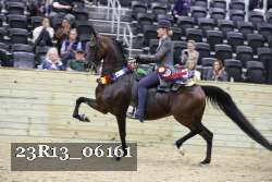 23R13_06161 thumbnail