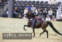 23R13_06162 thumbnail