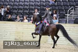 23R13_06163 thumbnail