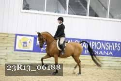 23R13_06188 thumbnail