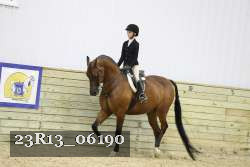 23R13_06190 thumbnail