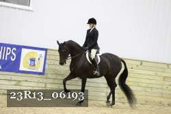 23R13_06193 thumbnail